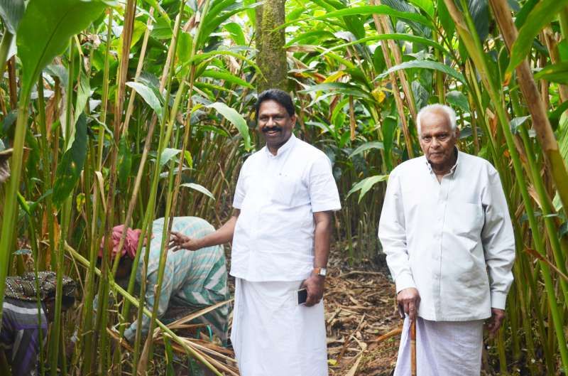 The Paulose family on the Malabar spice estate, Kerala